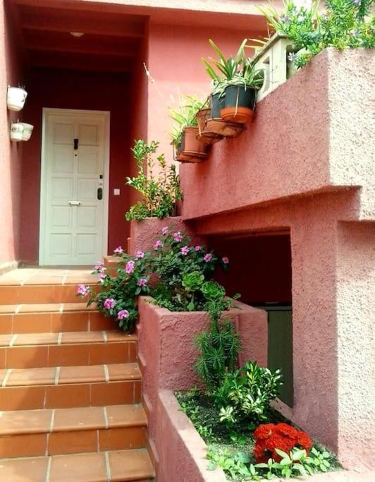 Beachfront House, Valencia, Wifi, Paddle Surf Board, Incredible Views Sueca Buitenkant foto
